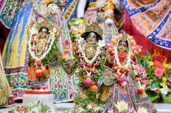 Daily Darshan
