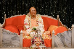 Daily Darshan