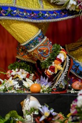 Daily Darshan