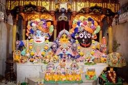 Daily Darshan