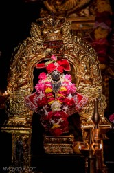 Daily Darshan