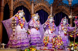 Daily Darshan