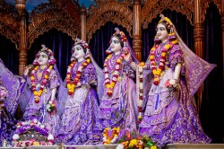 Daily Darshan