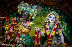 Daily Darshan