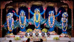 Daily Darshan