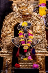 Daily Darshan