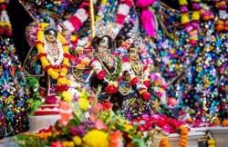 Daily Darshan