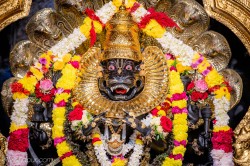 Daily Darshan