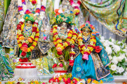 Daily Darshan