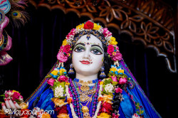 Daily Darshan