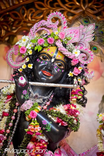 Daily Darshan