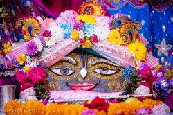 Daily Darshan