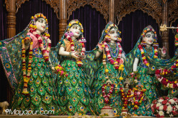 Daily Darshan