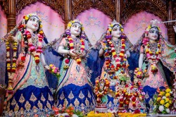 Daily Darshan