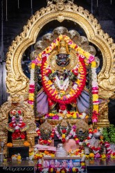 Daily Darshan