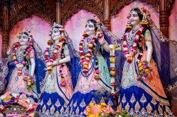 Daily Darshan
