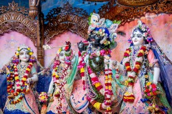 Daily Darshan