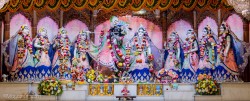 Daily Darshan