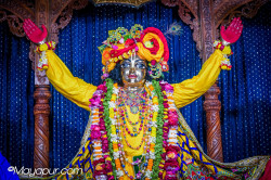 Daily Darshan