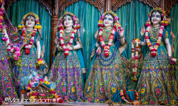 Daily Darshan