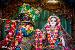 Daily Darshan