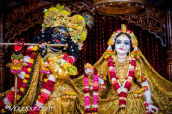 Daily Darshan