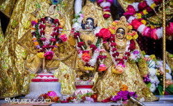 Daily Darshan