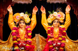 Daily Darshan