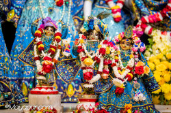 Daily Darshan