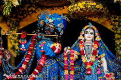 Daily Darshan