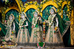 Daily Darshan