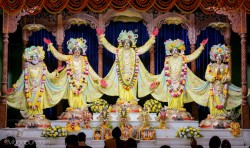 Daily Darshan