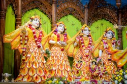 Daily Darshan