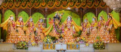 Daily Darshan