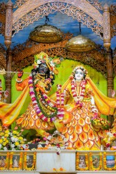 Daily Darshan