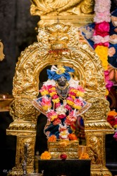 Daily Darshan