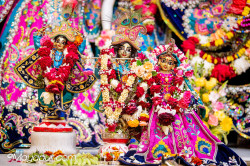 Daily Darshan