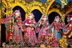 Daily Darshan