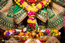 Daily Darshan