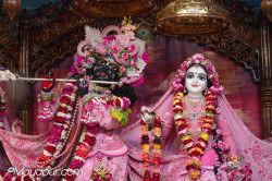 Daily Darshan