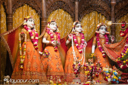 Daily Darshan