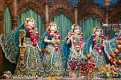 Daily Darshan