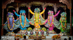Daily Darshan