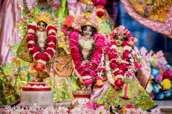 Daily Darshan