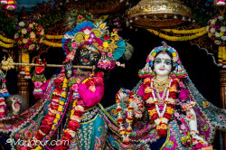 Daily Darshan