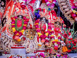 Daily Darshan