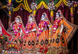 Daily Darshan