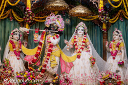Daily Darshan