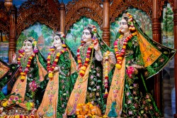 Daily Darshan