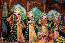 Daily Darshan